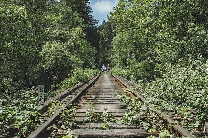Redwoods Railbike Along Pudding Creek - The Itinerary: What to Expect