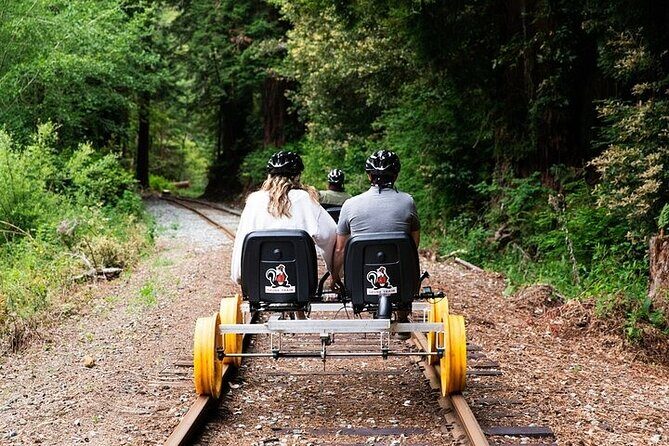 Redwoods Railbike Along Pudding Creek - The Scenery: Beauty and Wildlife