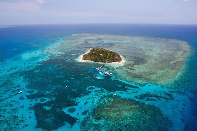 Reef and Rainforest 60 minute Scenic Flight - Starting at Cairns Airport: Ease of Access and Comfort