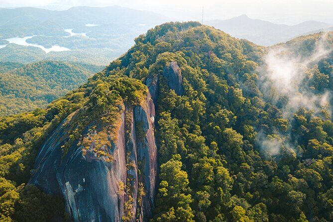 Reef and Rainforest 60 minute Scenic Flight - Cost and Value