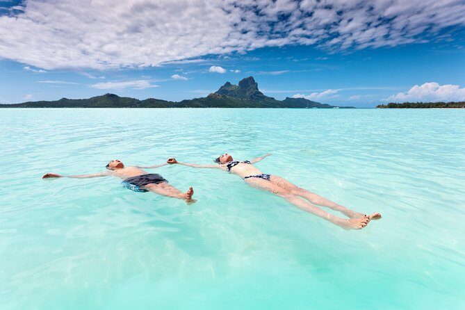 Reef Discovery Half Day Group Signature Tour - The Marine Life You’ll Likely Encounter