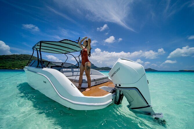 Reef Discovery Luxury Private Snorkeling Lagoon Tour - The Personal Touch: Guides and Customization