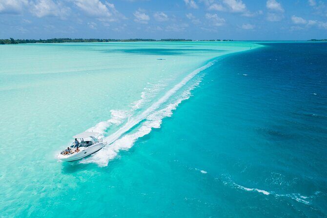 Reef Discovery Private Dream Day Tour - An In-Depth Look at the Reef Discovery Private Dream Day Tour