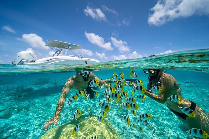 Reef Discovery Private Full Day Lagoon Tour & Motu Lunch - Who Should Book This Tour?