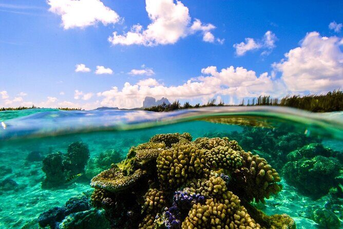 Reef Discovery Private Full Day Lagoon Tour & Water Lunch - Who Will Love This Tour?