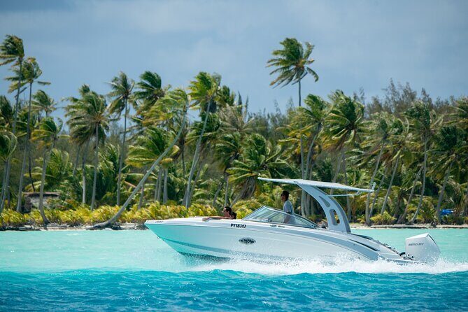 Reef Discovery Private Half Day Lagoon Tour - What Makes This Tour Stand Out