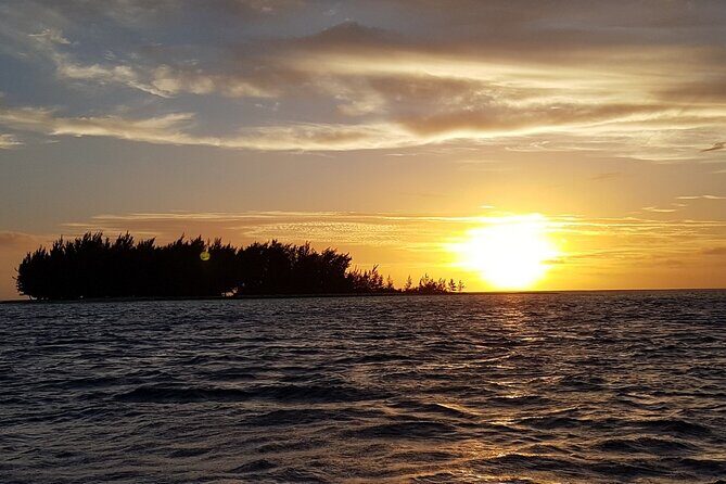 Reef Discovery Private Sunset Cruise in Bora-Bora - Practical Details & Tips