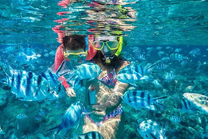 Reef Discovery Private Treasure Hunt - An In-Depth Look at the Reef Discovery Private Treasure Hunt
