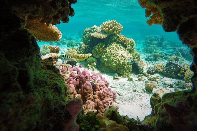 Reef Discovery Private Treasure Hunt - The Bottom Line