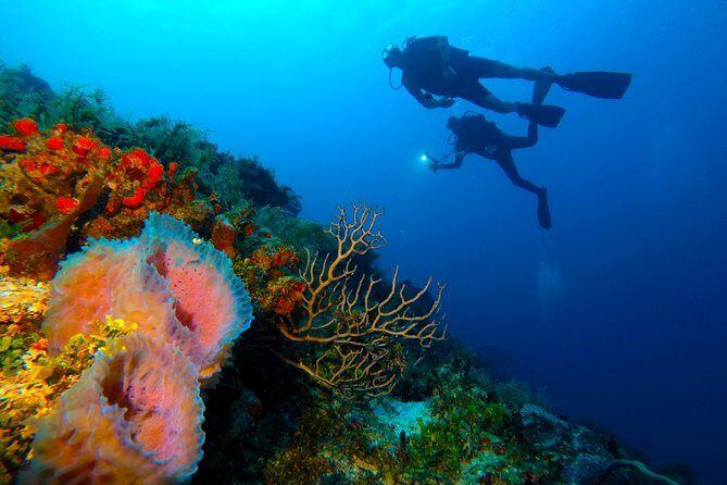 Reef diving in Playa del Carmen - Practical Details and Logistics