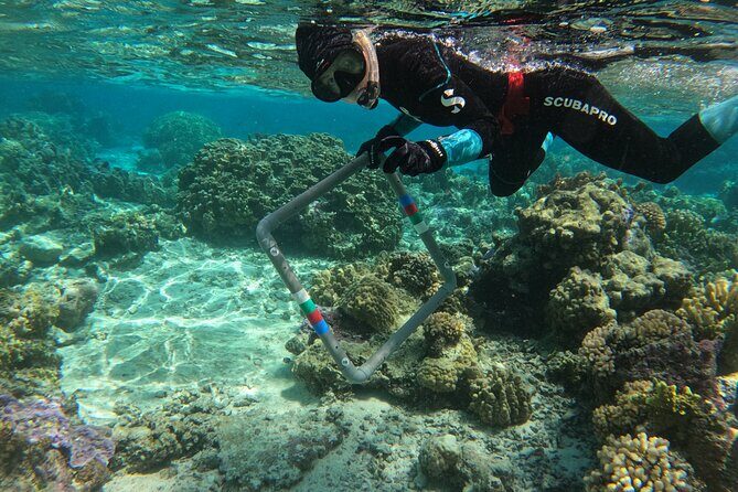 Reef Exploration with Reva Atea participatory science - Key Points