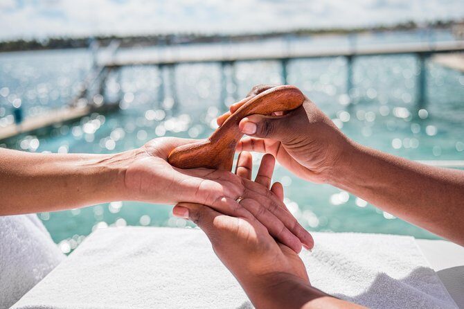 Reef Explorer Multiple activity Excursion from Punta Cana by Marinarium - The Bottom Line