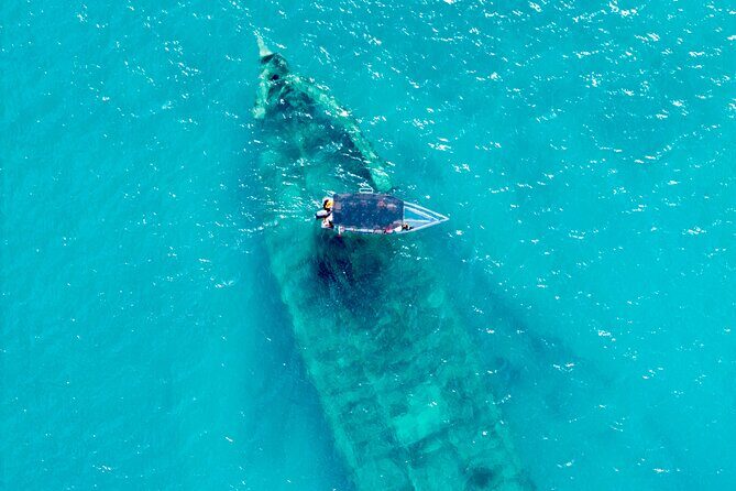 Reef Explorers Transparent Boat and Beach Tour - Introducing the Reef Explorers Transparent Boat and Beach Tour