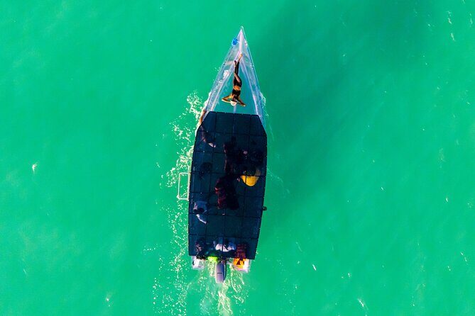 Reef Explorers Transparent Boat and Beach Tour - Key Points
