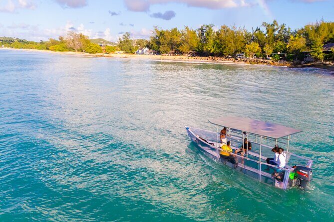 Reef Explorers Transparent Boat and Beach Tour - Authentic Marine Encounters and Stunning Views