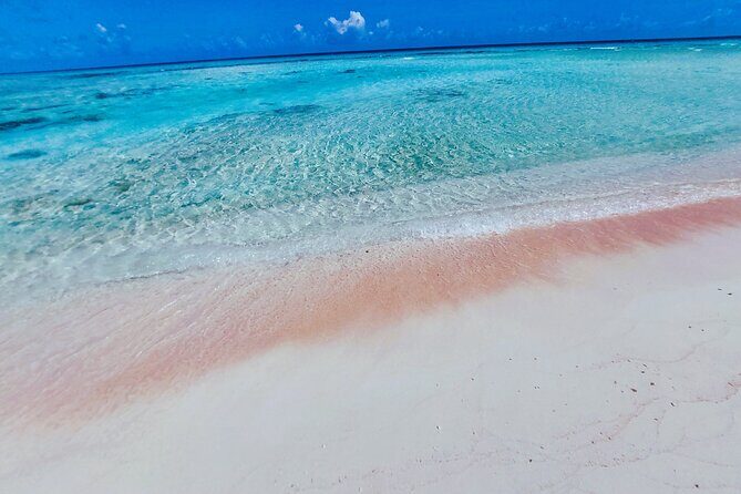 REEF ISLAND | private island | pink sand | natural swimming pools - Practical Considerations