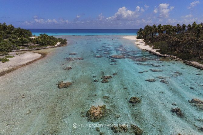 Reef island private tour - The Itinerary: What to Expect
