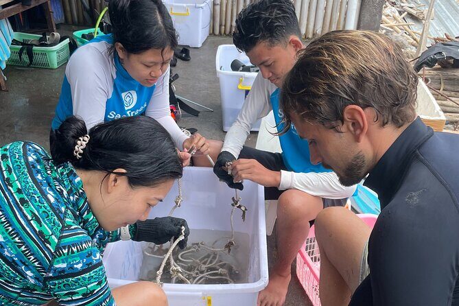 Reef Rehabilitation Course and Snorkeling - The Value and Impact
