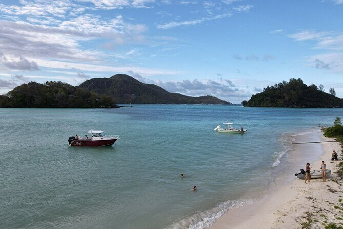 Reef Safari - Snorkeling, Fish Feeding & Lunch (Private Day Trip) - Who Should Consider This Tour?