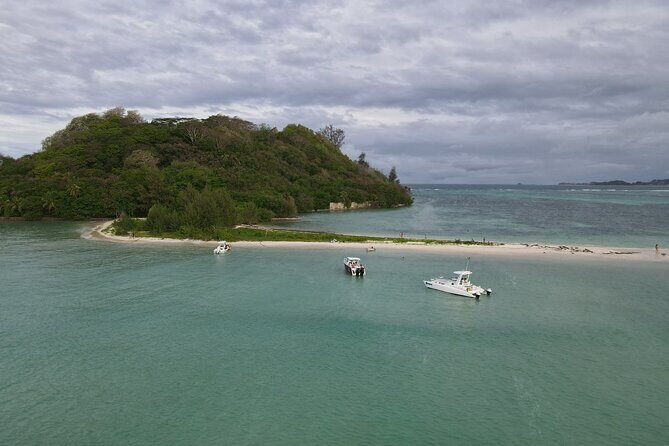 Reef Safari - Snorkeling, Fish Feeding & Lunch (Private Day Trip) - FAQs