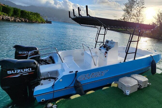Reef Safari - Snorkeling, Fish Feeding & Lunch (Private Day Trip) - Final Thoughts
