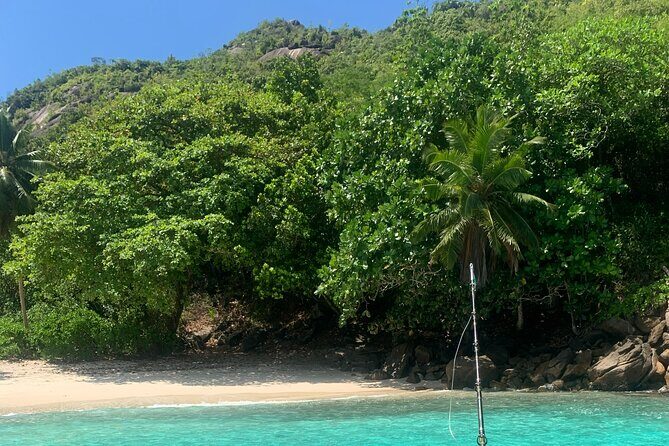 Reef Safari - Snorkeling, Fish Feeding & Lunch (Shared Day Trip) - What Travelers Say: Authentic Insights from Reviews