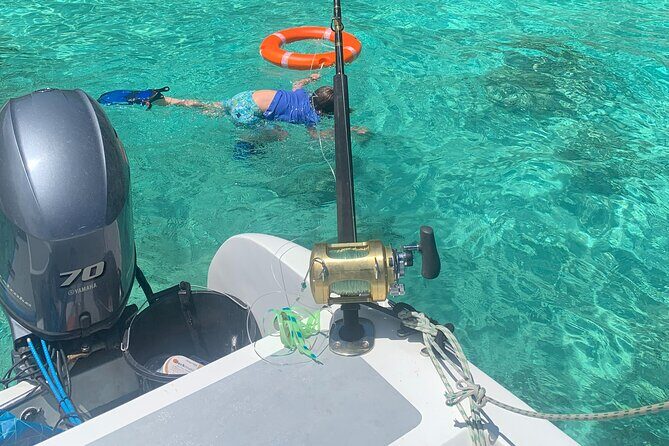 Reef Safari - Snorkeling, Fish Feeding & Lunch (Shared Day Trip) - Who Should Book This Tour?
