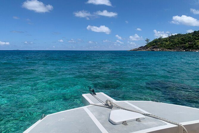 Reef Safari - Snorkeling, Fish Feeding & Lunch (Shared Day Trip) - FAQ