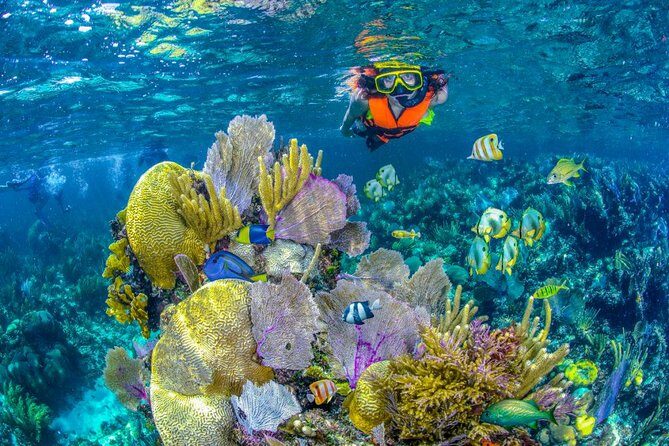 Reef Snorkel In National Park In Puerto Morelos With Lunch And Transportation - Who This Tour Is Best For
