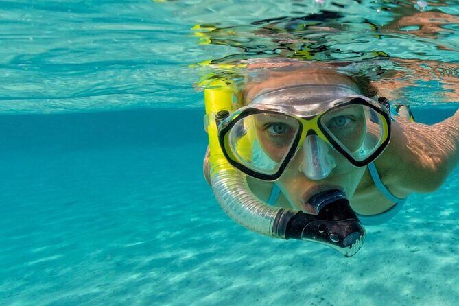 Reef Snorkel & Ocean Paddle Adventure in Fort Lauderdale Beach - What Makes This Tour Special