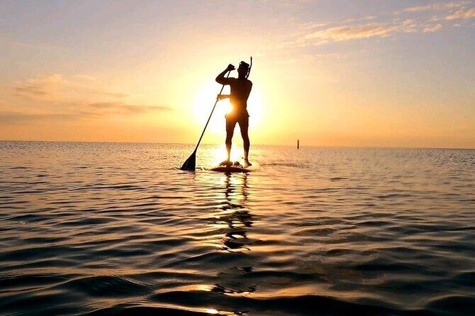 Reef Snorkel & Ocean Paddle Adventure in Fort Lauderdale Beach - Value and Practical Tips