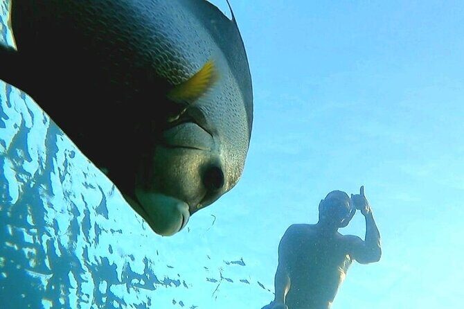 Reef Snorkel & Ocean Paddle Adventure in Fort Lauderdale Beach - Who Would Love This Tour?