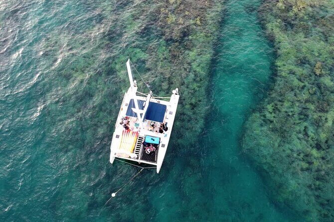 Reef Snorkel + Sandbar & Sunset Sail-Small Groups with Honest Eco - An Honest Look at the Tour Itself