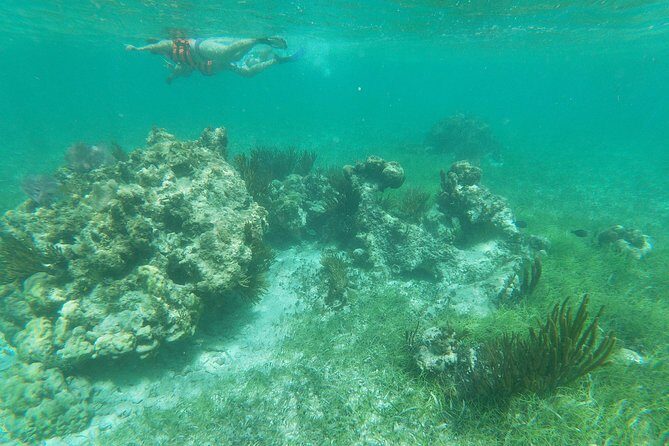 Reef Snorkel, underwater adventure in Puerto Morelos With Transportation & Lunch - Snorkeling in the Caribbean Reef
