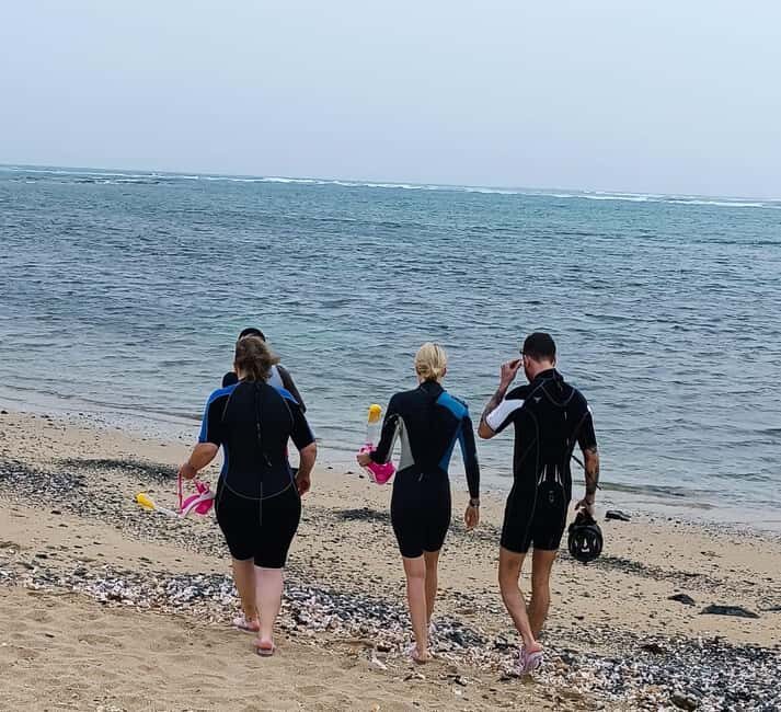 Reef snorkeling in Gatas Bay - Why Snorkeling in Gatas Bay Is a Must-Do