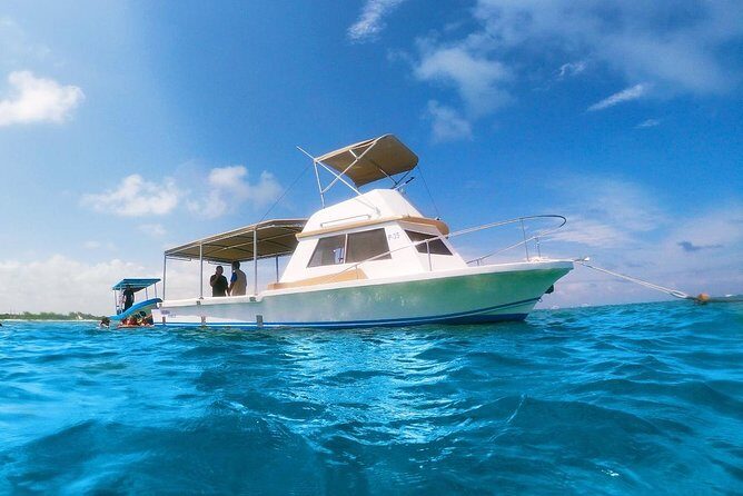 Reef Snorkeling in National Park from Cancun with Beachside Lunch - Overall Impression
