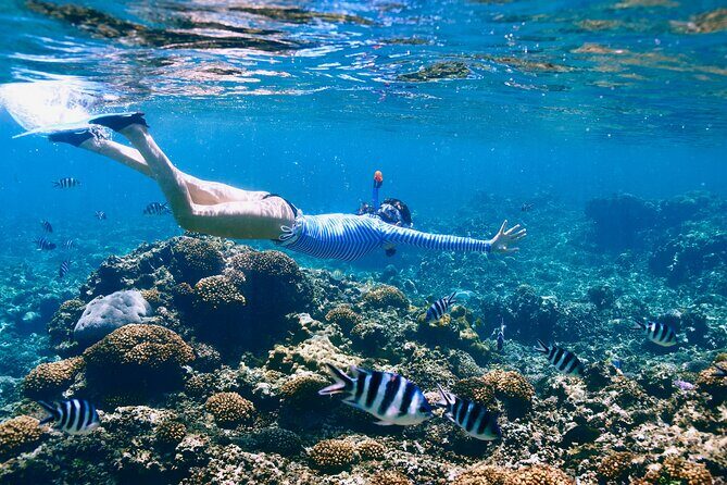 Reef Snorkeling with ATV, Zipline, Cenote that includes lunch and transportation - An Overview of the Experience