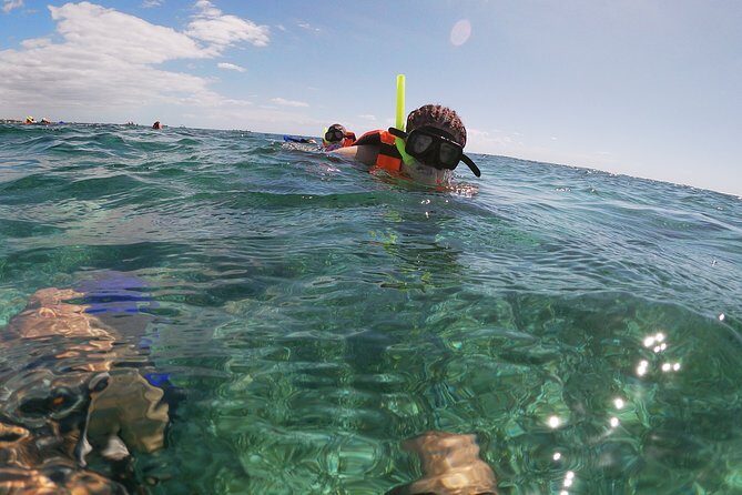 Reef Snorkeling with ATV, Zipline, Cenote that includes lunch and transportation - What’s Included and What’s Not