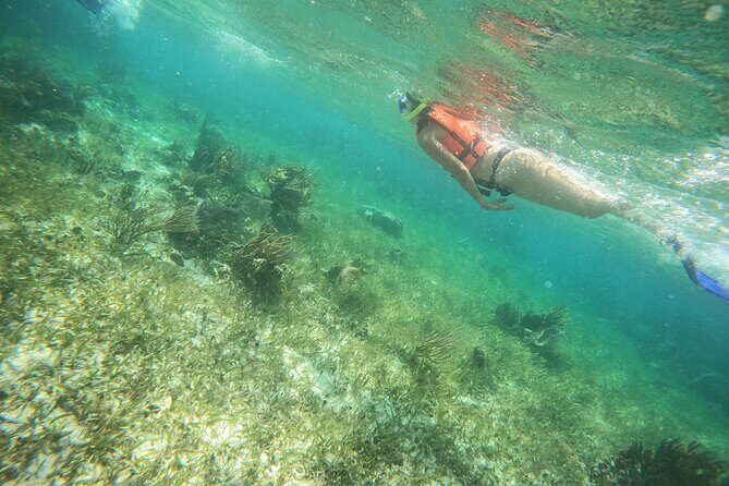 Reef Snorkeling with ATV, Zipline, Cenote that includes lunch and transportation - Practical Tips and Considerations