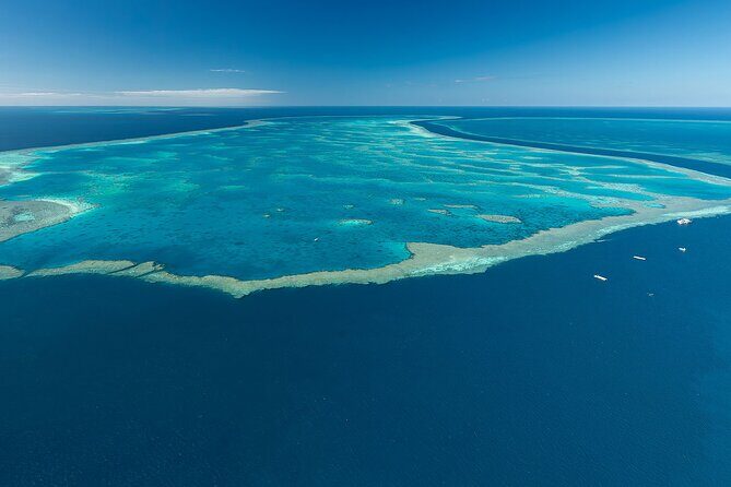 Reef & Whitehaven Spectacular - 60 Minute Helicopter Tour - Final Thoughts