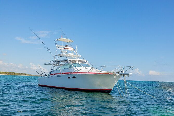 Reel Adventures: A Fin-tastic Fishing Tour - Key Points