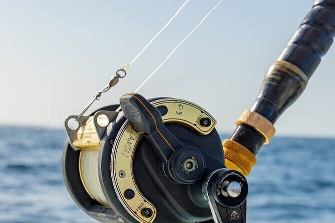 Reel Adventures: A Fin-tastic Fishing Tour - The Sum Up