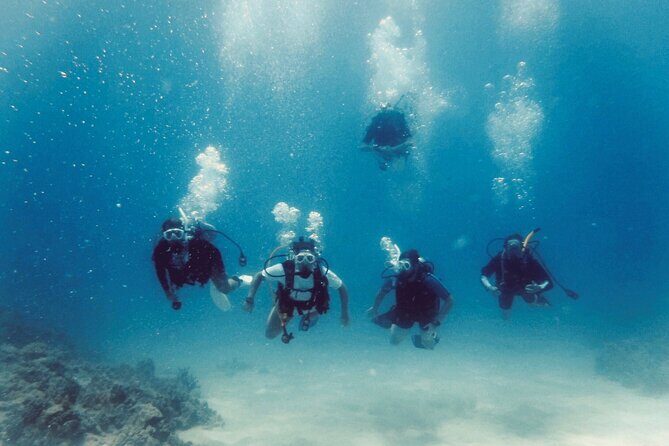 Refresher Scuba Dive - Who Would Benefit Most?