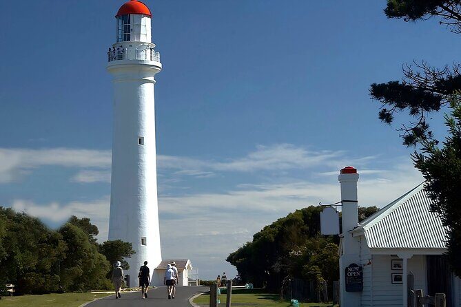 Reimagined Great Ocean Road 1-Day Tour from Melbourne - The Cost and Value
