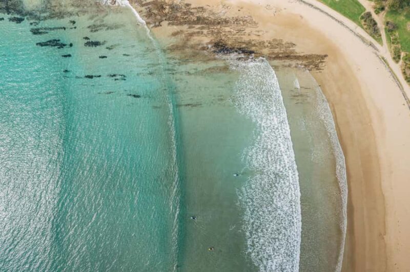 Reimagined Great Ocean Road 1-Day Tour from Melbourne - Who Should Consider This Tour?