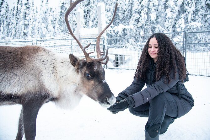 Reindeer and Snowmobile Day Trip to Borealis Basecamp with Lunch - A Closer Look at the Itinerary