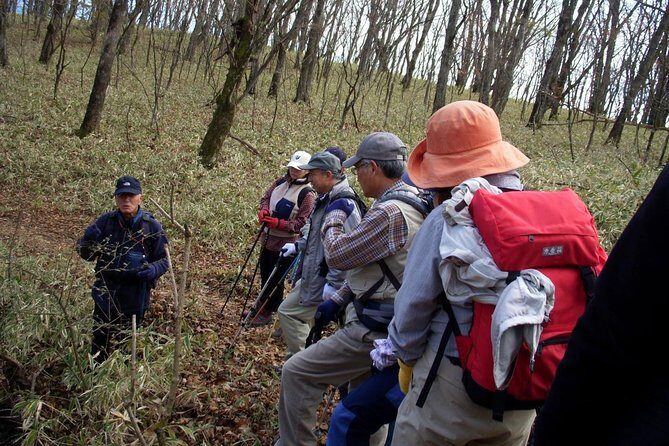 Relax and refresh in Karuizawa Forest! Shinanoji down trekking around two people - Practical Details and Tips