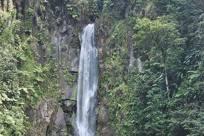 Relax in Hot Springs and swim in Titou Gorge and Trafalgar Falls - Final Thoughts