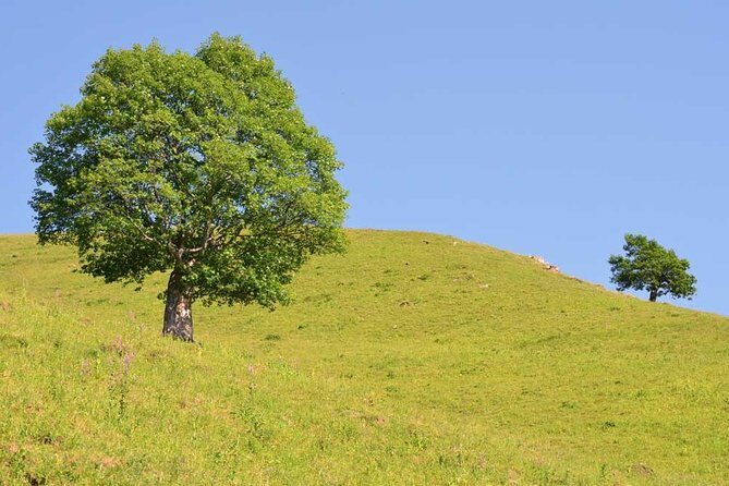 Relaxable and Knowledgeable 9 days Tour in Azerbaijan - Authentic Village Life and Handicrafts