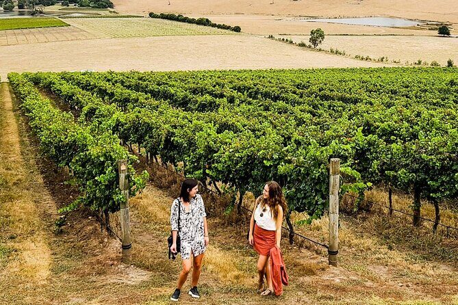 Relaxed Half Day Yarra Valley Wine Tasting Tour from Melbourne - Key Points